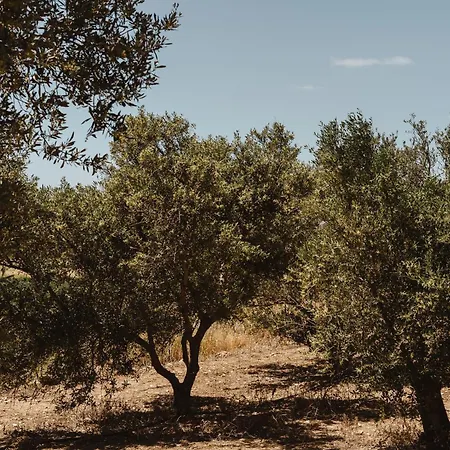 Elaia Retreat Naxos Βίβλος