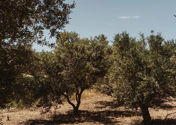 Elaia Retreat Naxos Βίβλος